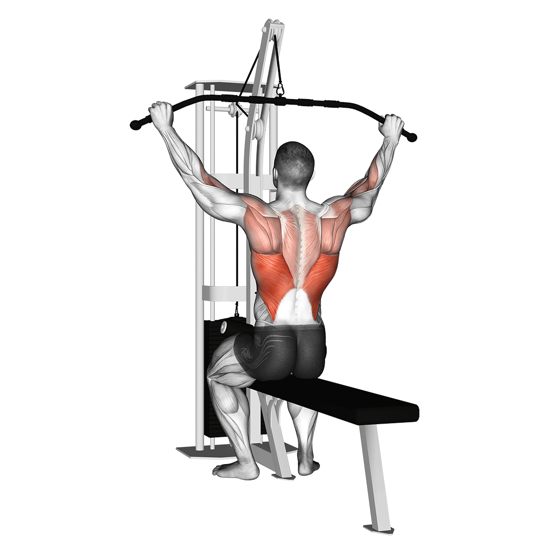 Cable Pulldown (Pro Lat Bar) demonstration