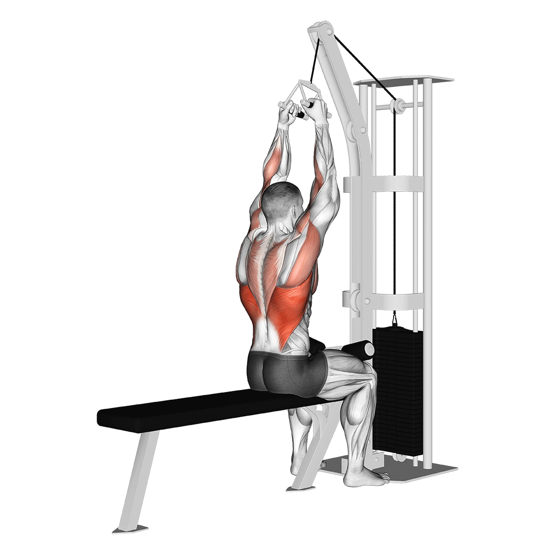 Lat Pulldown (Cable) demonstration