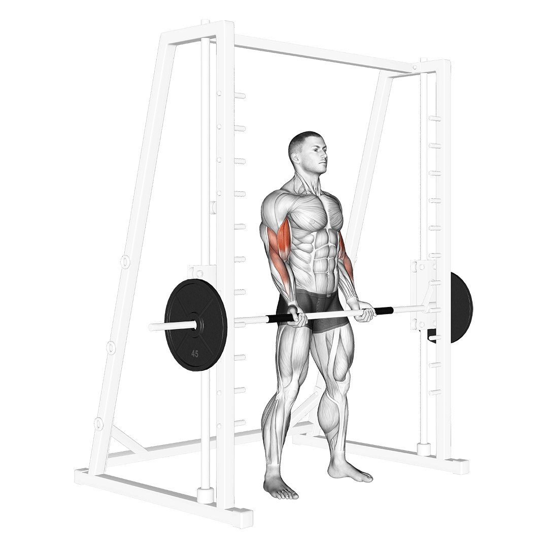 Smith Machine Bicep Curl demonstration