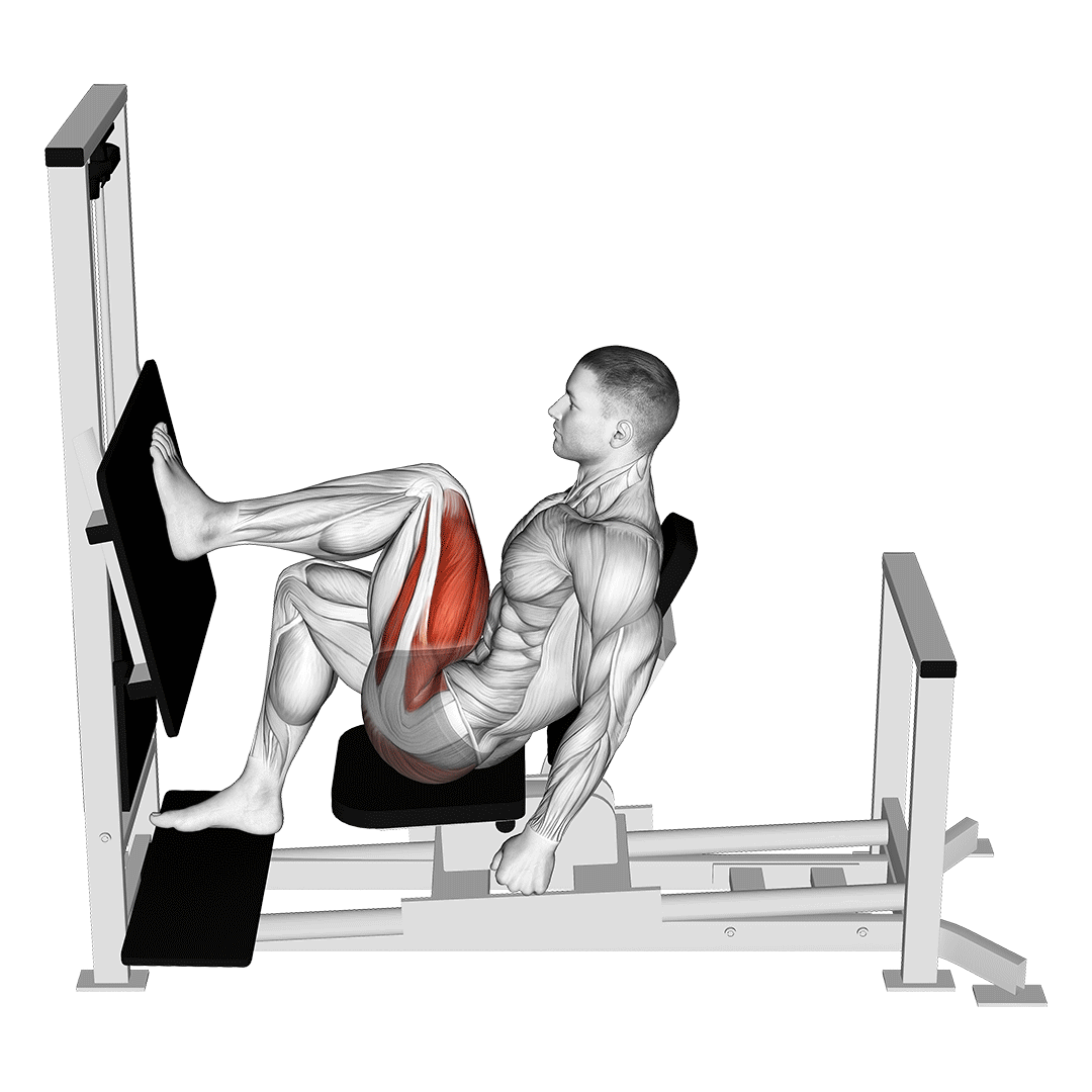Machine Horizontal One Leg Press demonstration