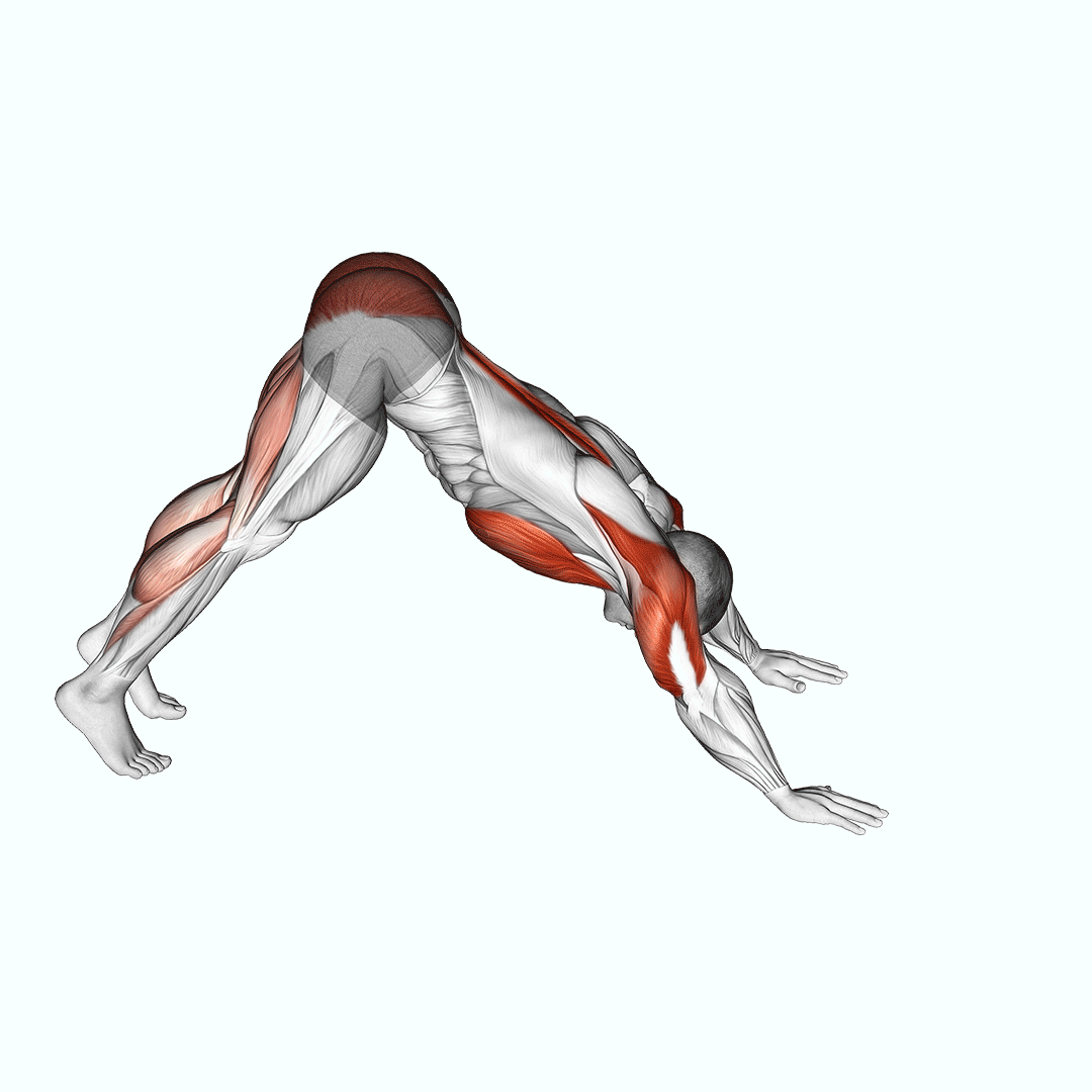 Pike-To-Cobra Push-Up demonstration