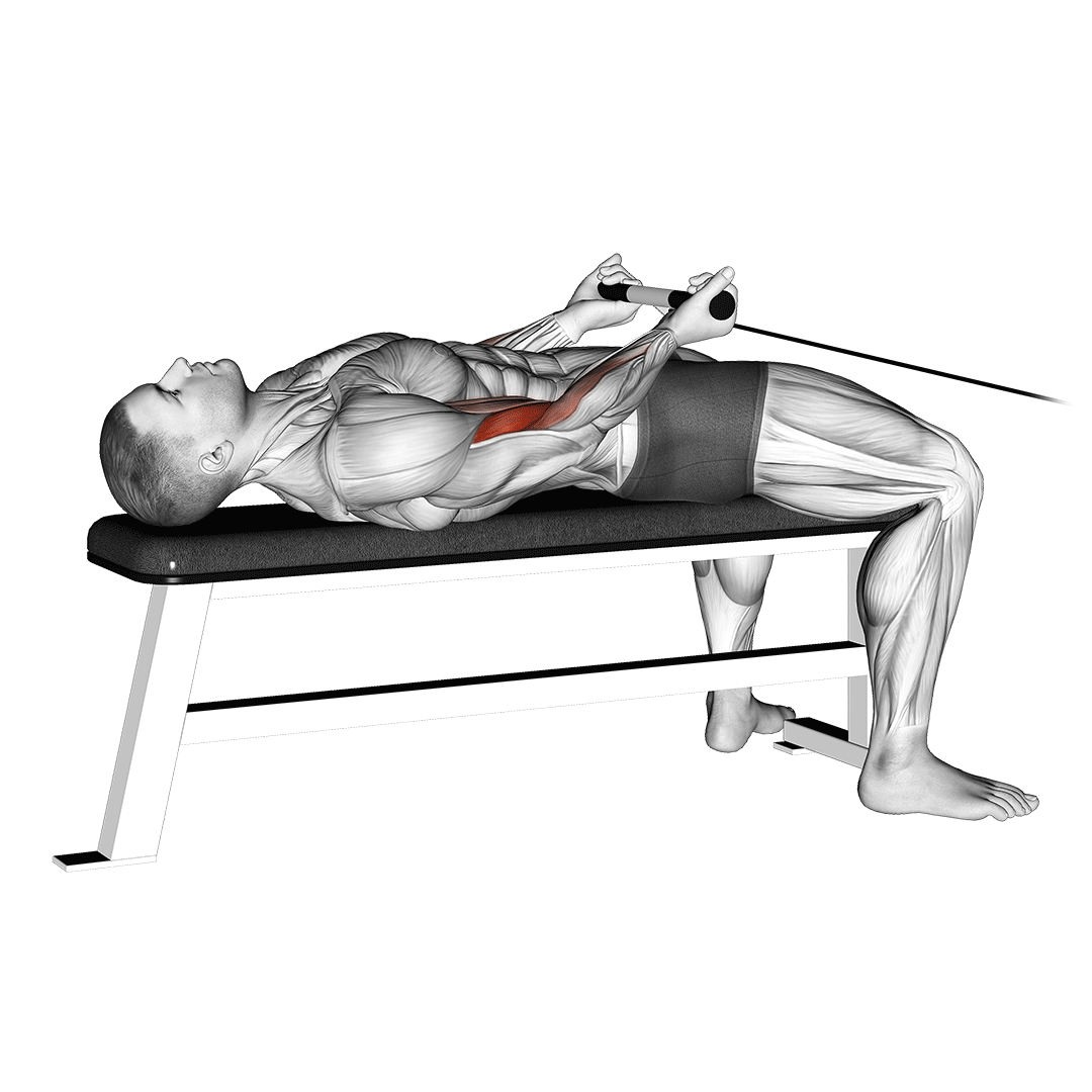 Cable Lying Bicep Curl demonstration