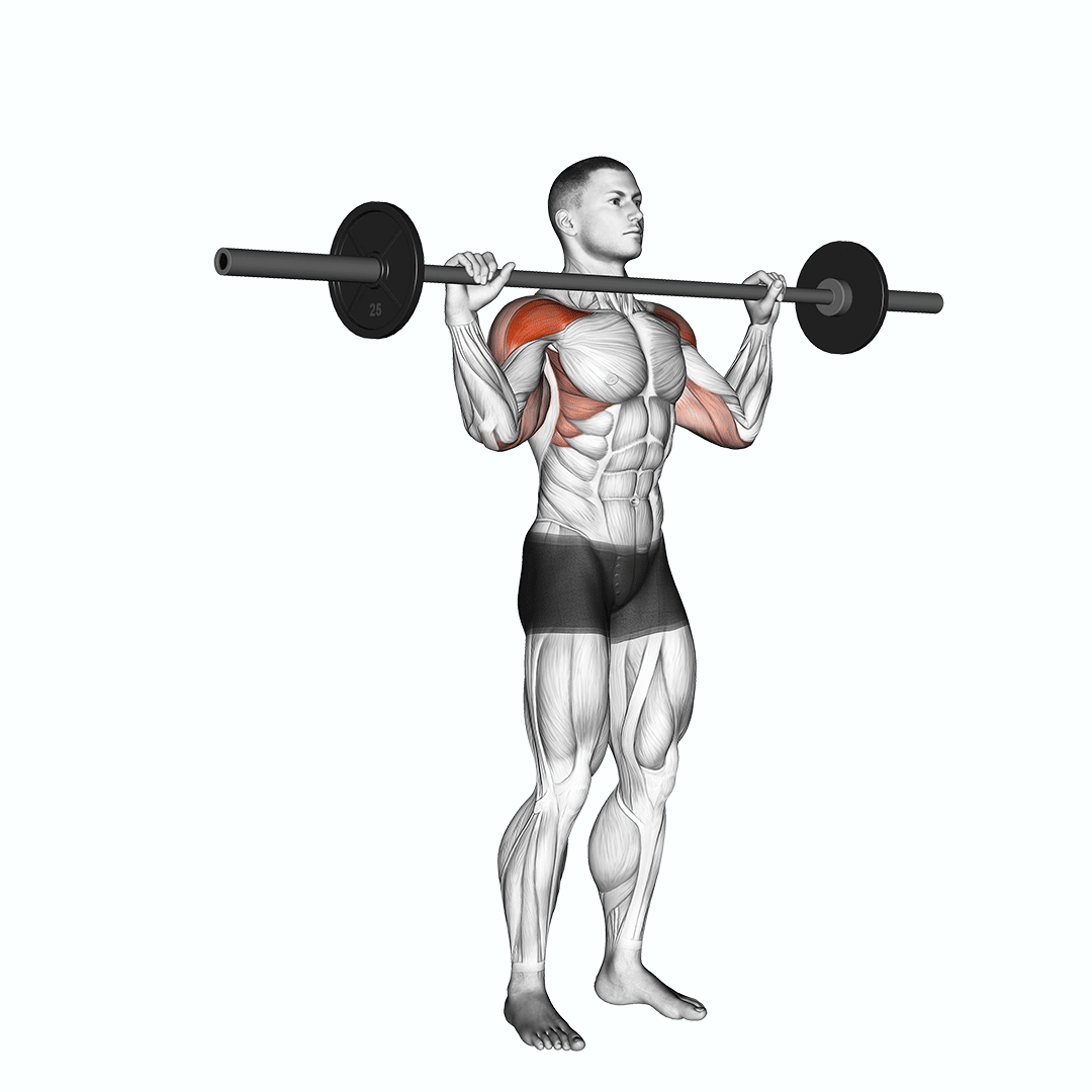 Barbell Standing Bradford Press demonstration