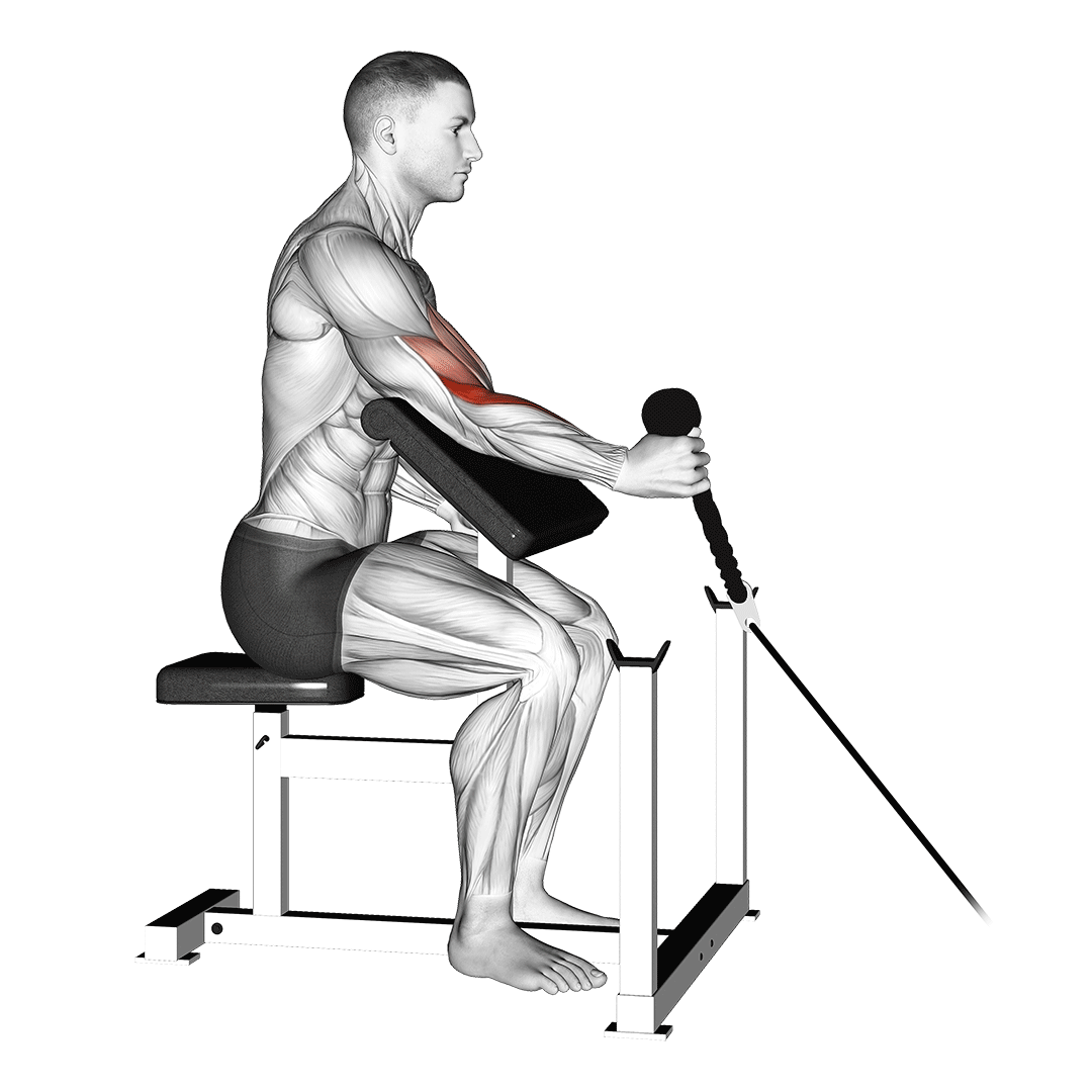 Cable Rope One Arm Hammer Preacher Curl demonstration