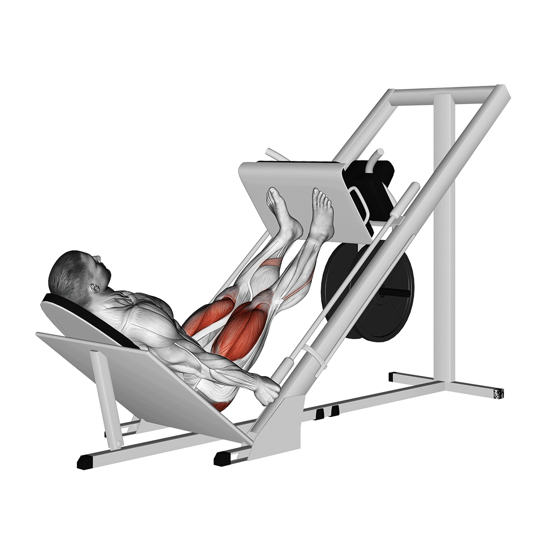 Sled 45° Leg Press demonstration