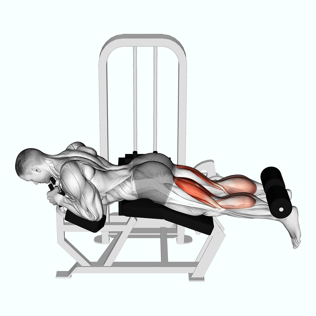 Machine Lying Two-One Leg Curl demonstration