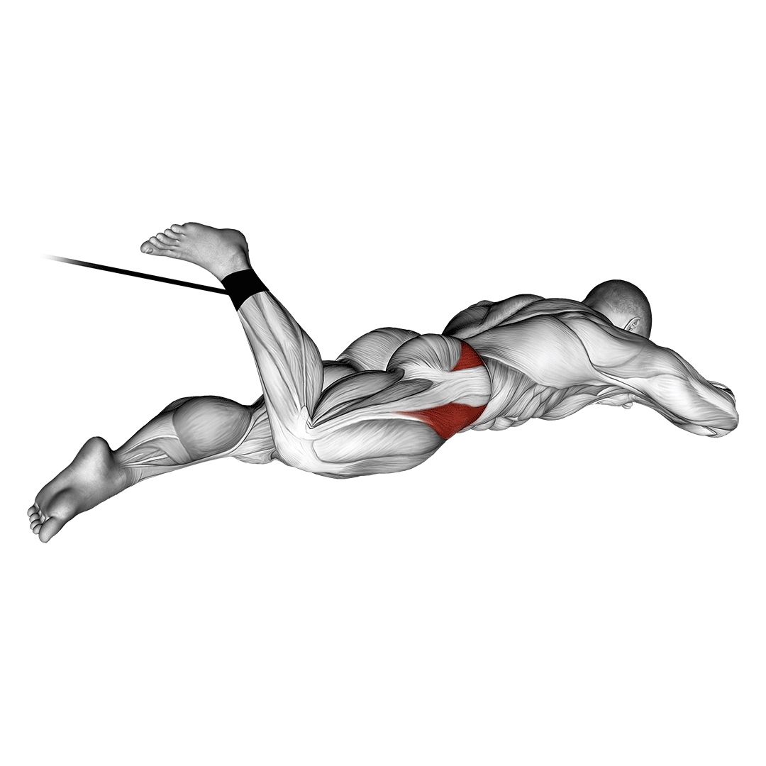 Band Lying Hip Internal Rotation demonstration