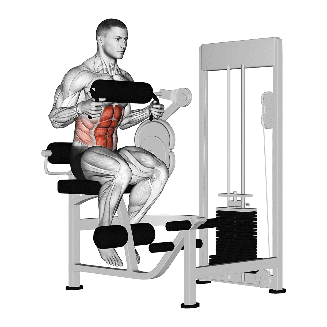 Machine Seated Crunch (Chest Pad) demonstration
