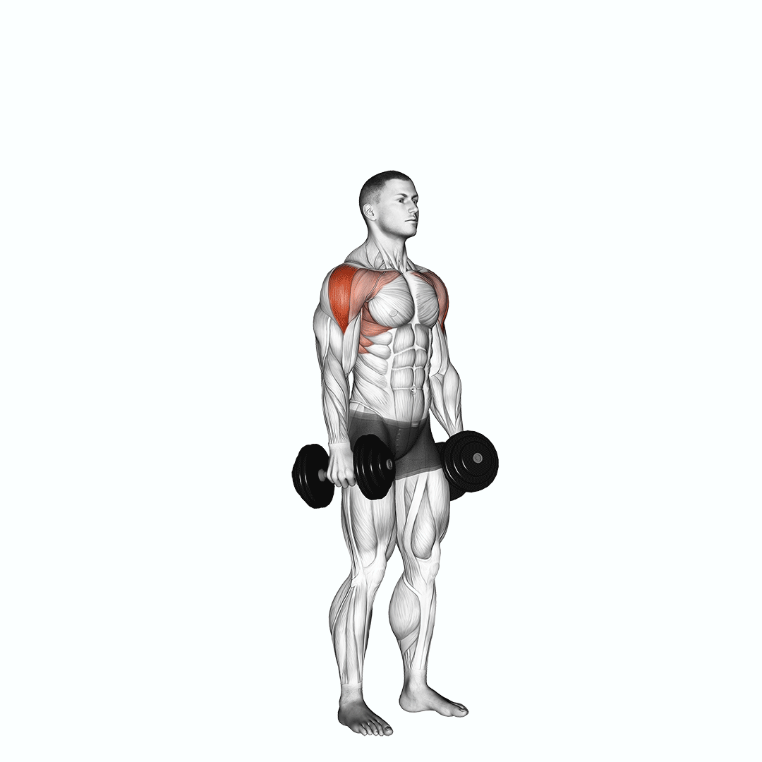 Dumbbell Cuban Press demonstration