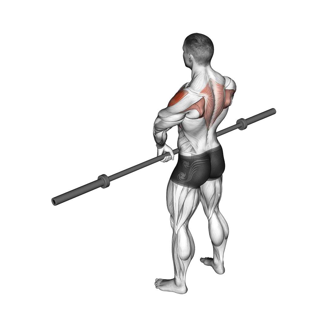 Barbell Upright Row demonstration
