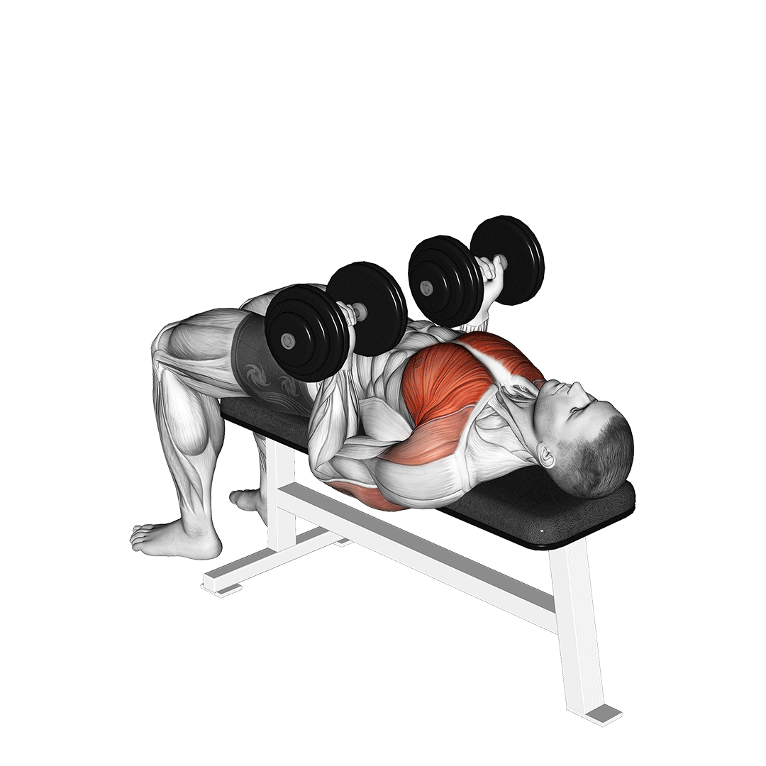 Dumbbell Reverse Bench Press demonstration