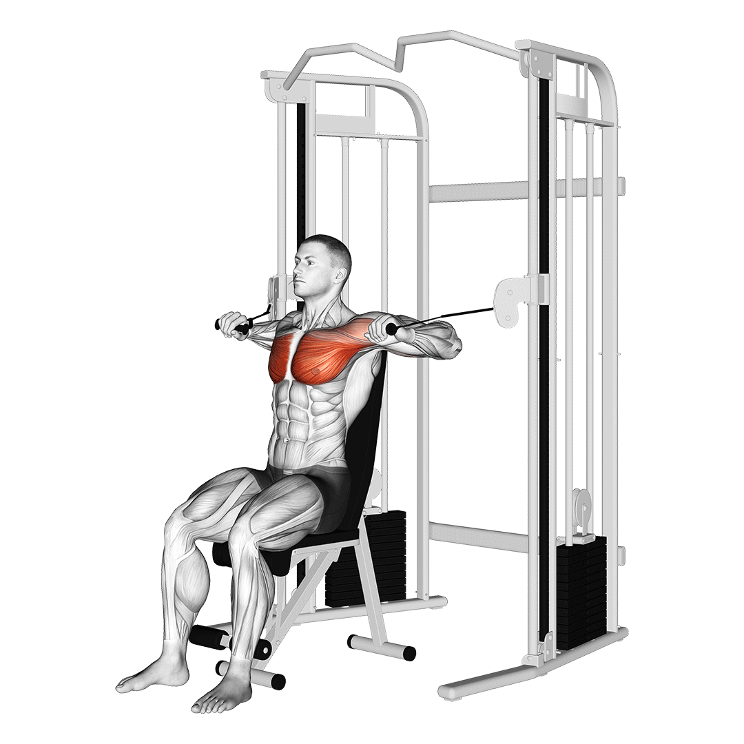 Cable Seated Chest Press demonstration