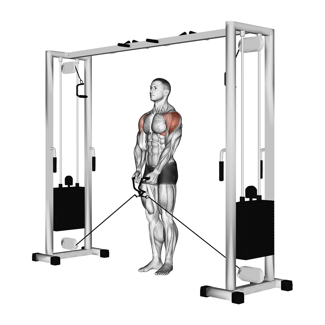 Cable Lateral Raise demonstration