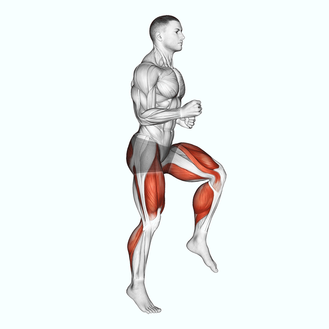Half Knee Bends demonstration