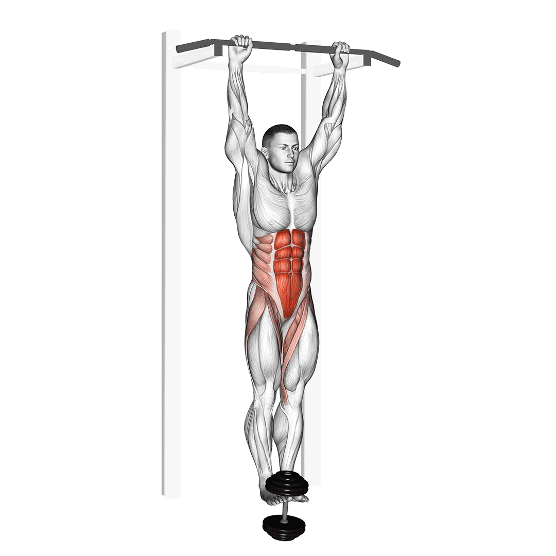 Weighted Hanging Leg-Hip Raise demonstration