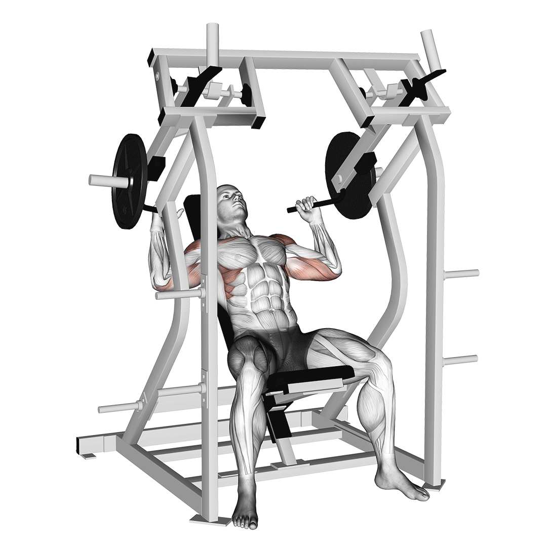 Machine Shoulder Press demonstration