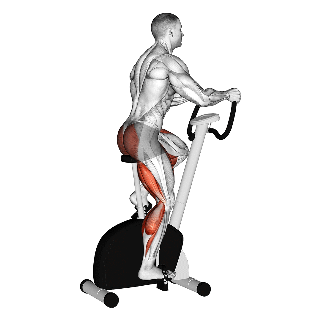 Recumbent Bike demonstration