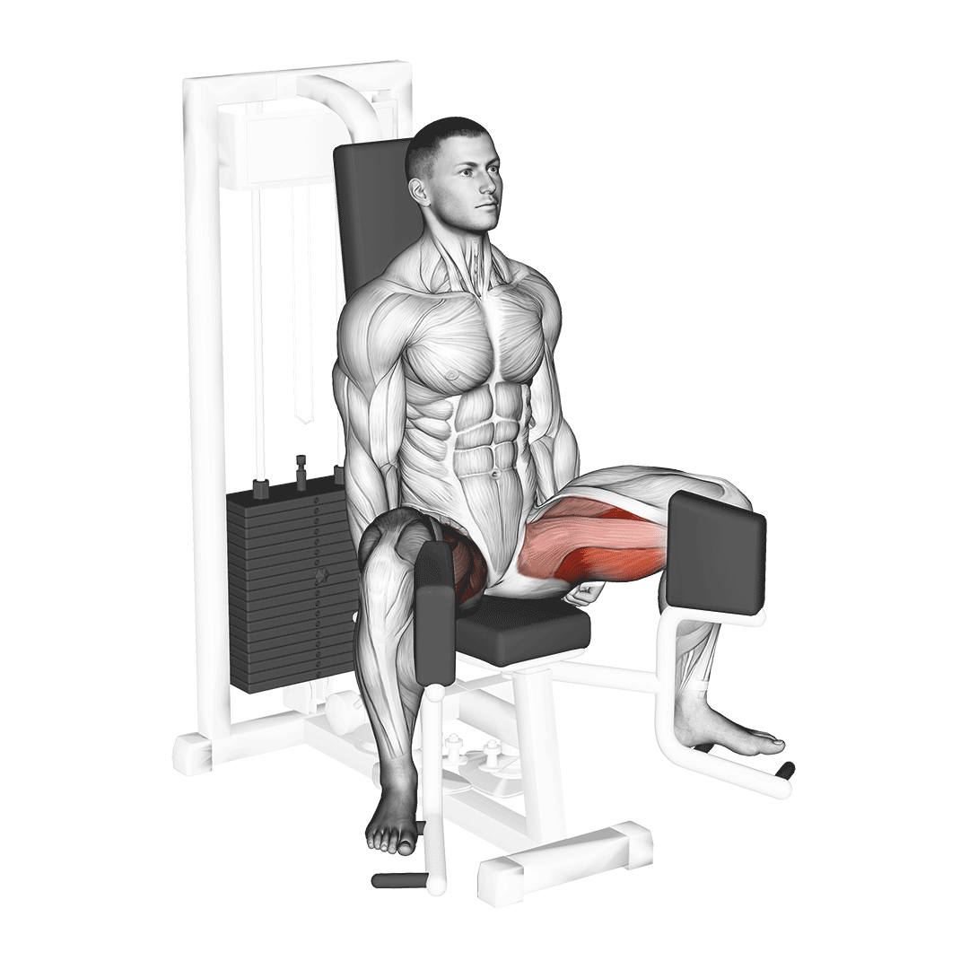 Hip Adduction Machine demonstration