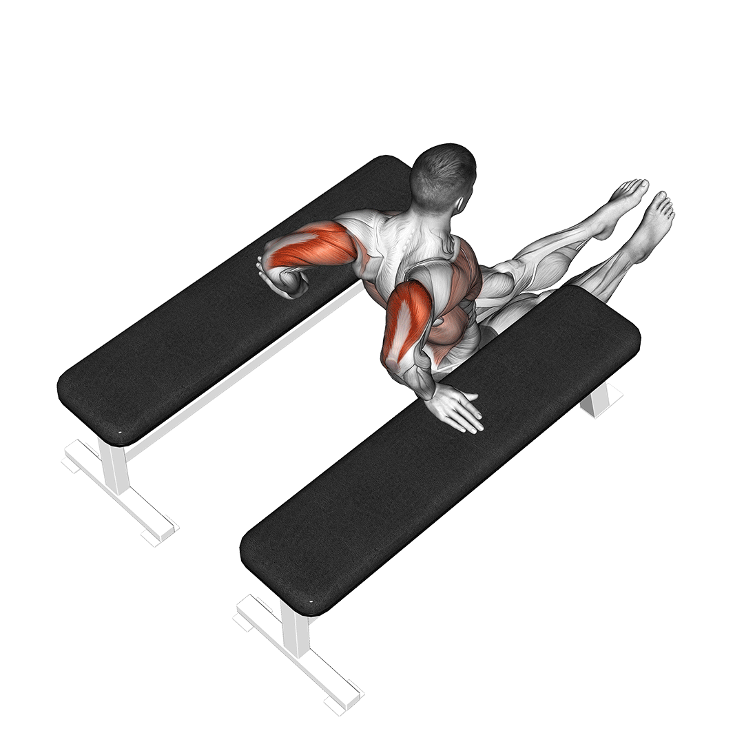 Triceps Dip (Between Benches) demonstration