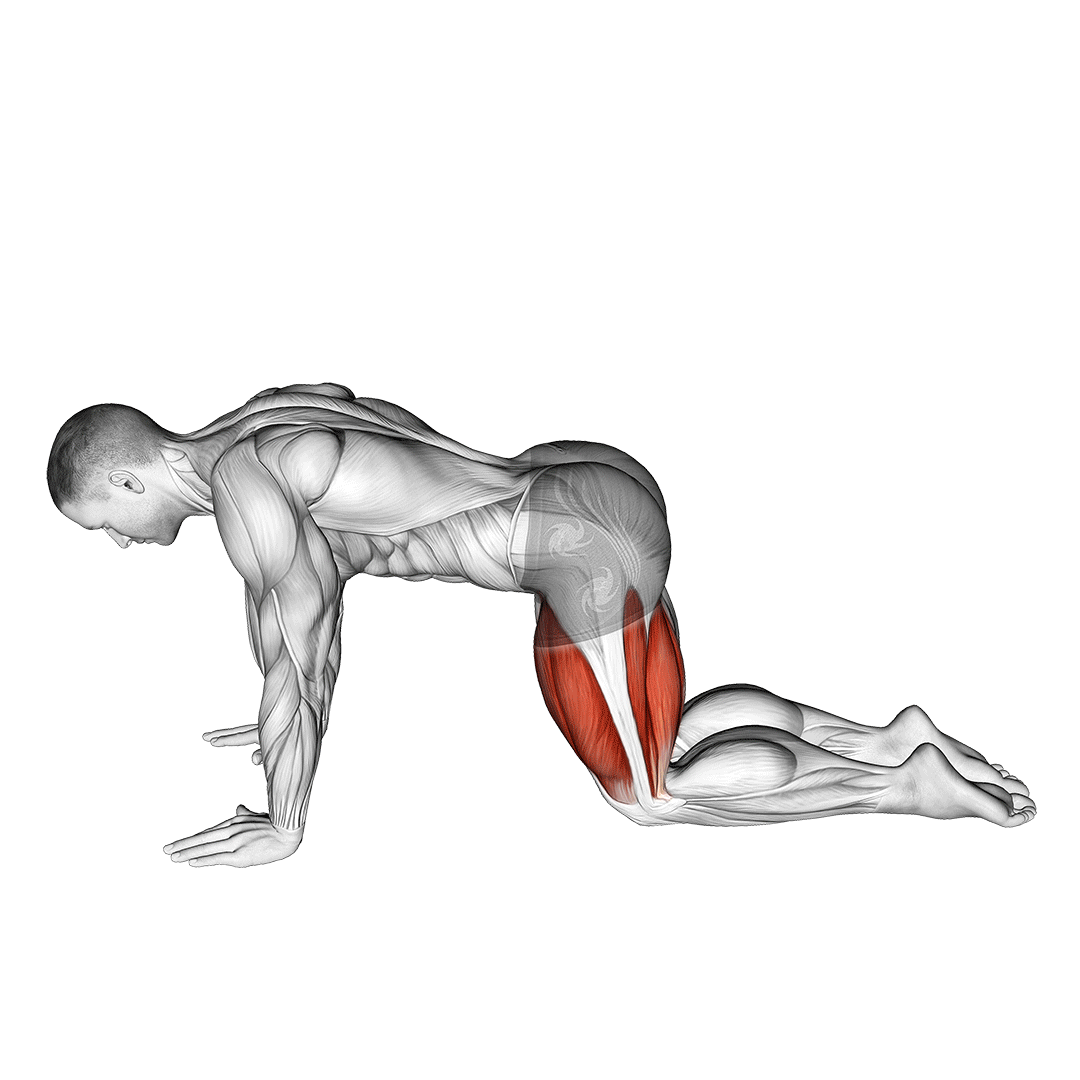 All Fours Quad Stretch demonstration
