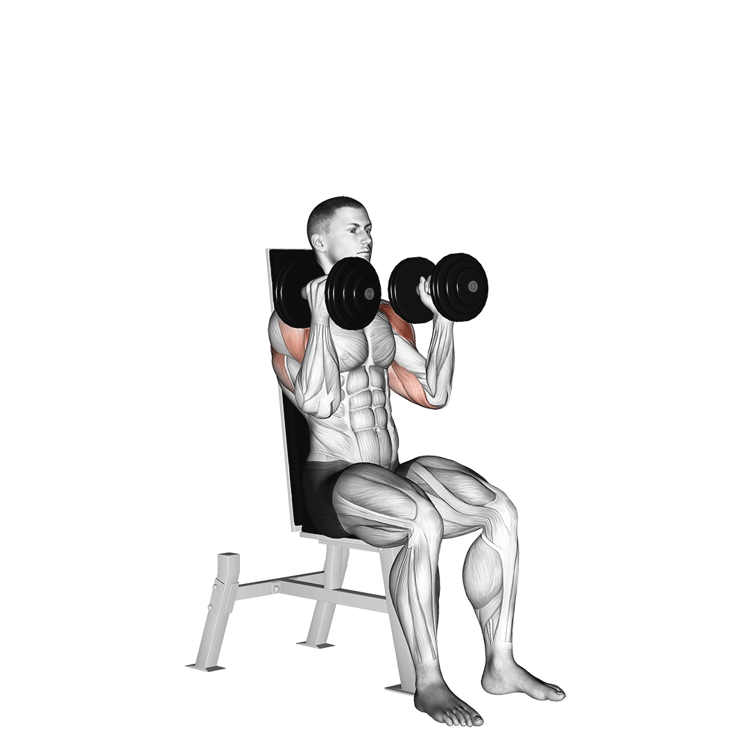 Dumbbell Seated Alternate Press demonstration