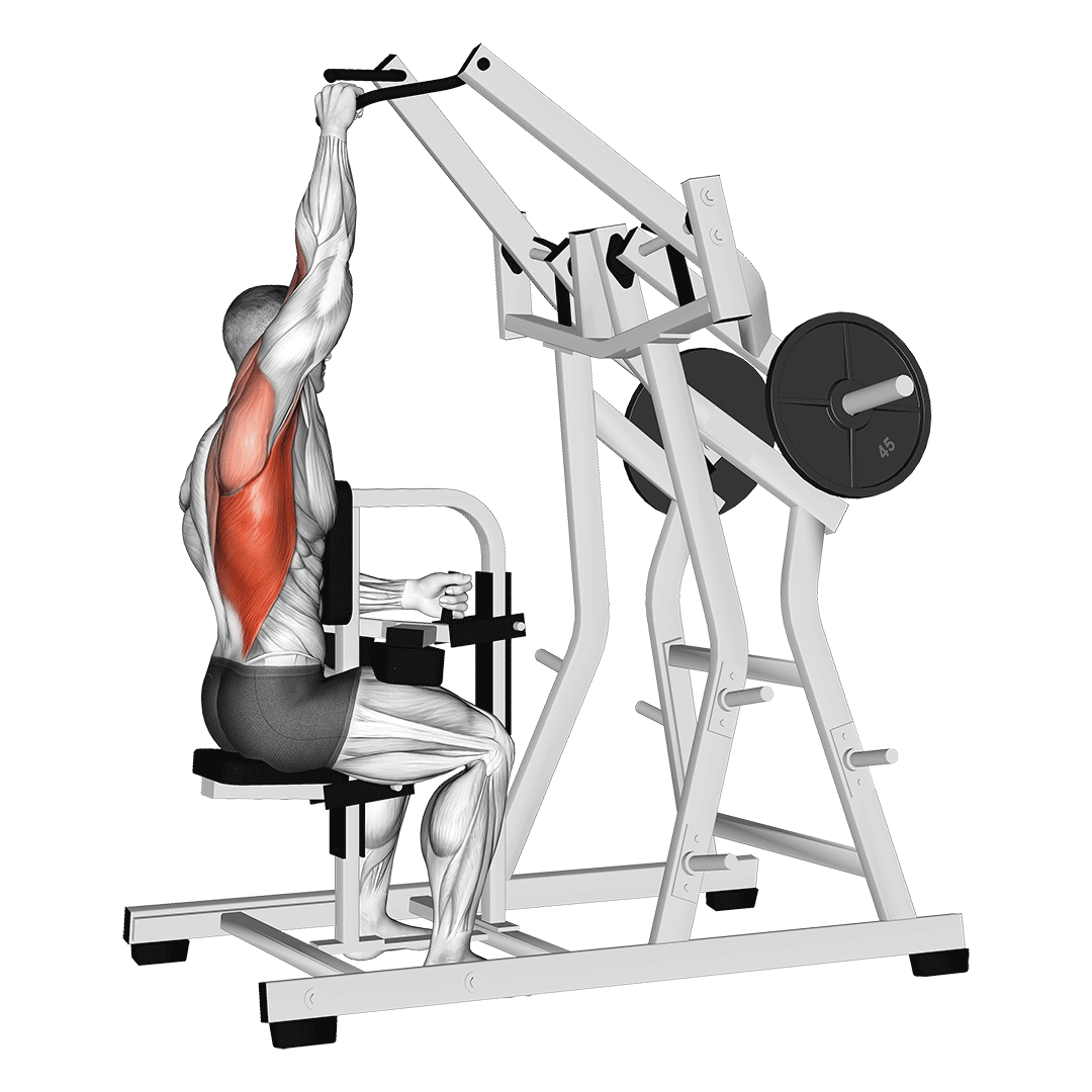 One-Arm Lat Pulldown (Machine) demonstration