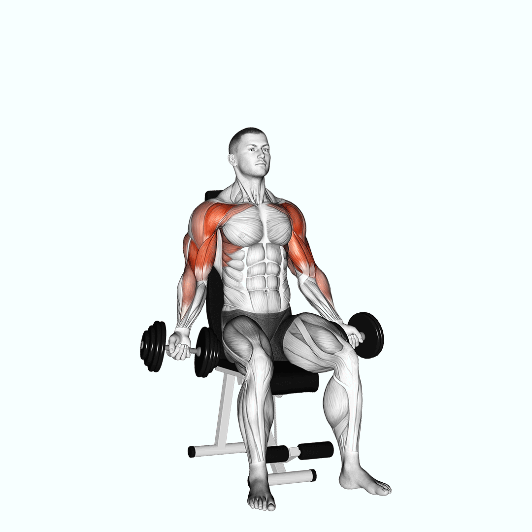 Dumbbell Seated Biceps Curl To Shoulder Press demonstration