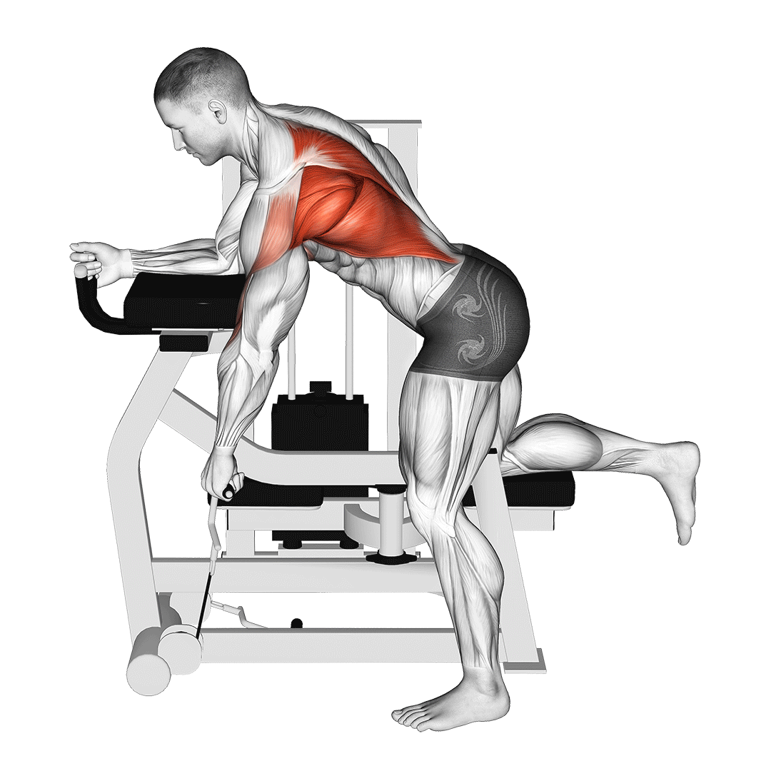 Machine Unilateral Row demonstration