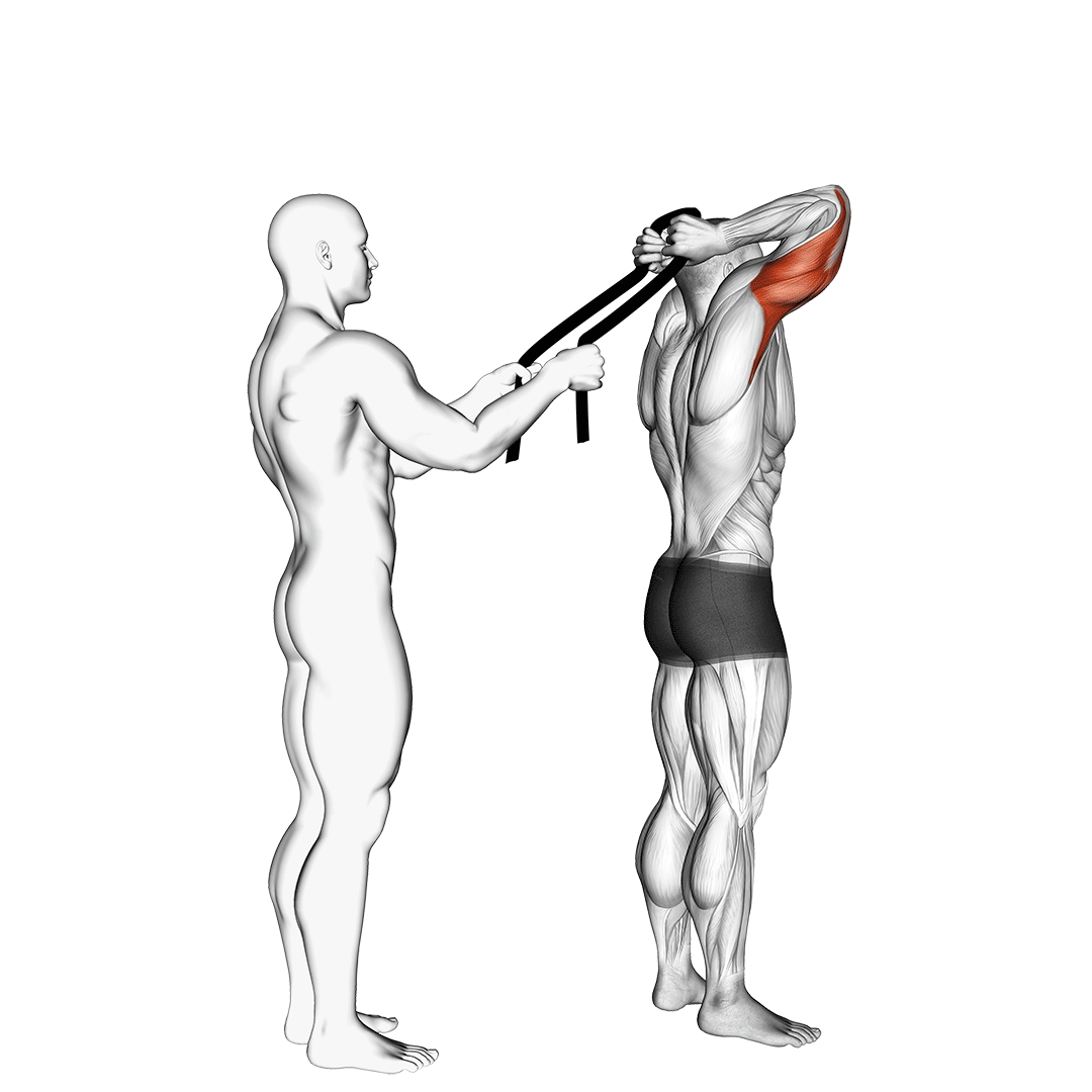 Assisted Standing Triceps Extension (With Towel) demonstration