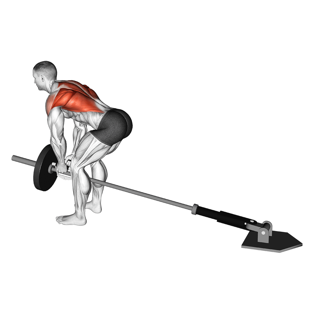 Machine Bent-Over Row With V-Bar demonstration
