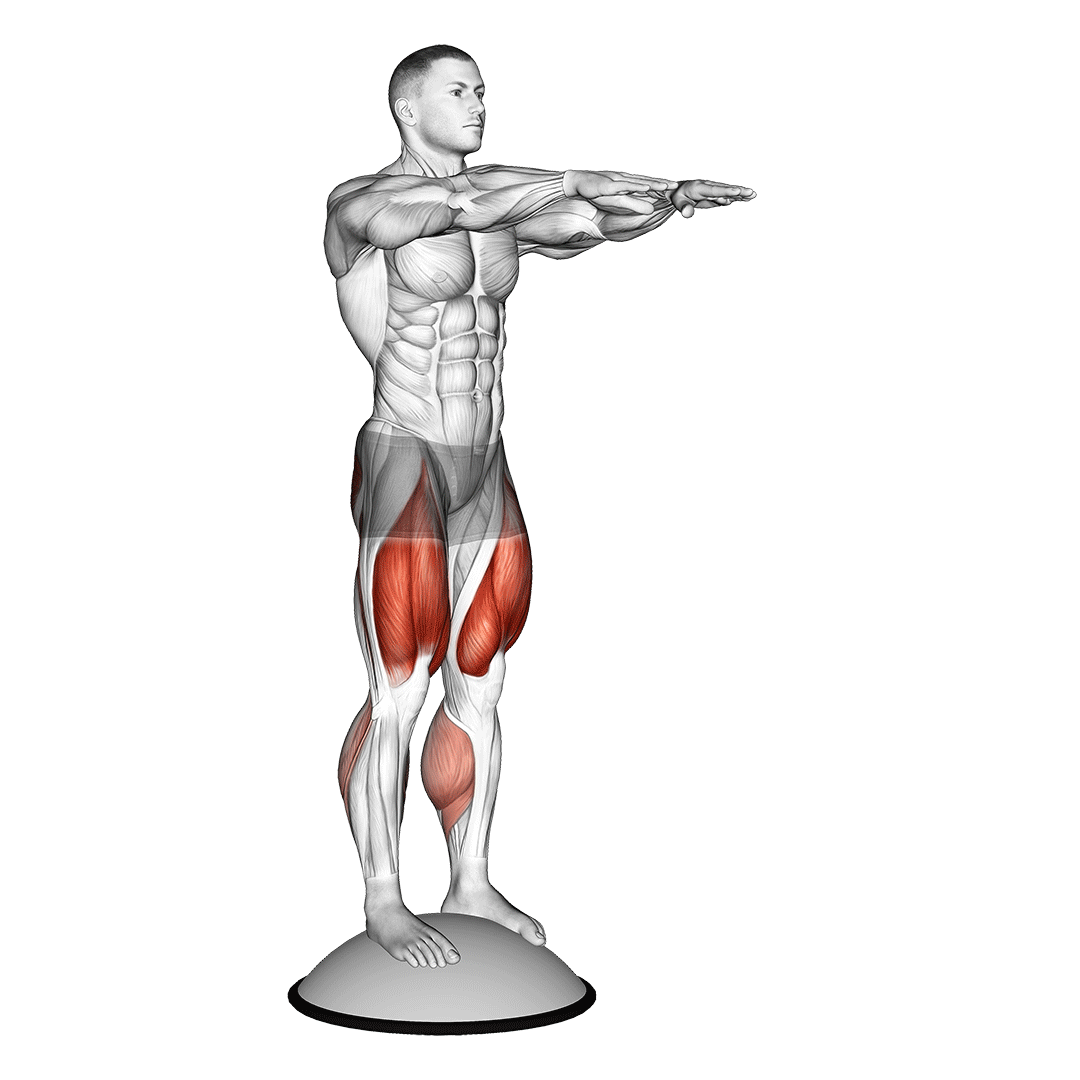 Bosu Ball Squat demonstration