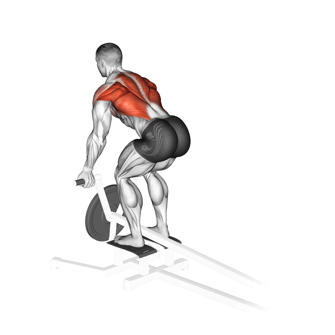 Machine T-Bar Reverse Grip Row demonstration