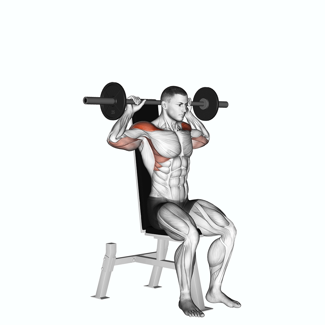 Barbell Seated Bradford Rocky Press demonstration