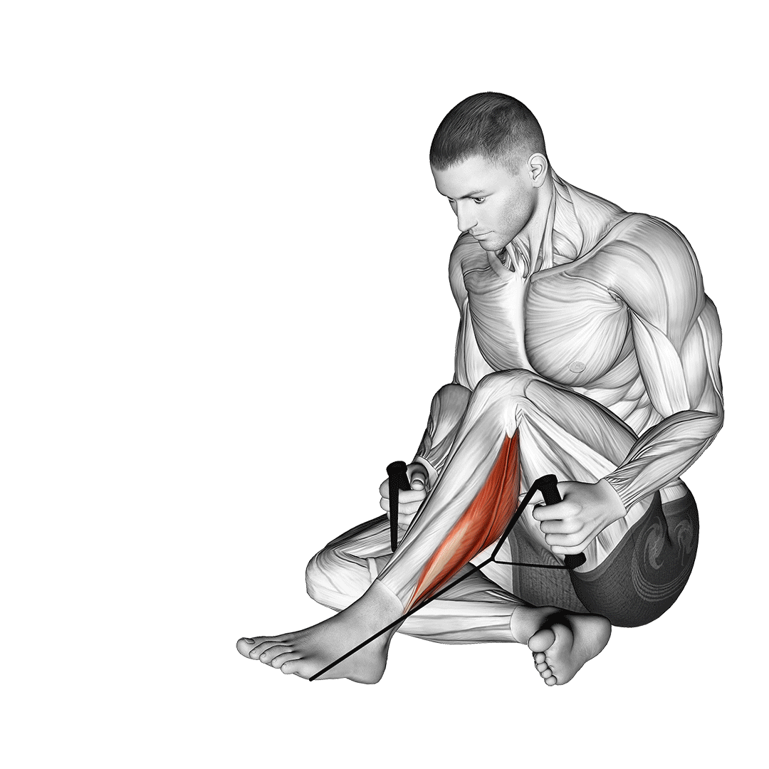 Peroneals Stretch demonstration