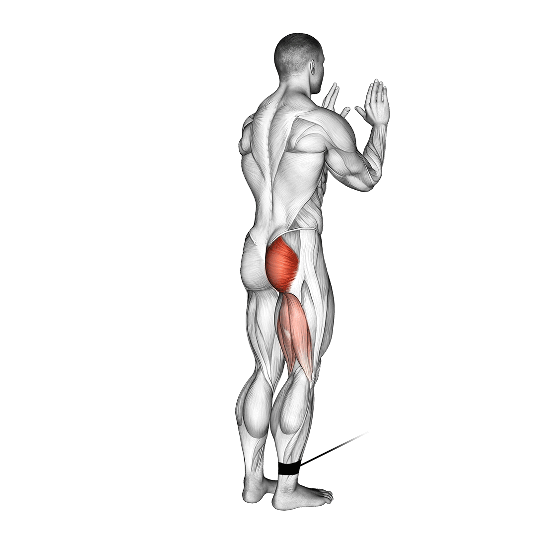 Cable Standing Hip Extension demonstration