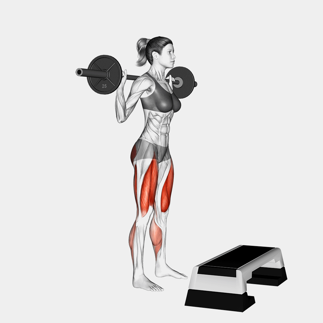 Barbell Squat Jump Step Rear Lunge demonstration