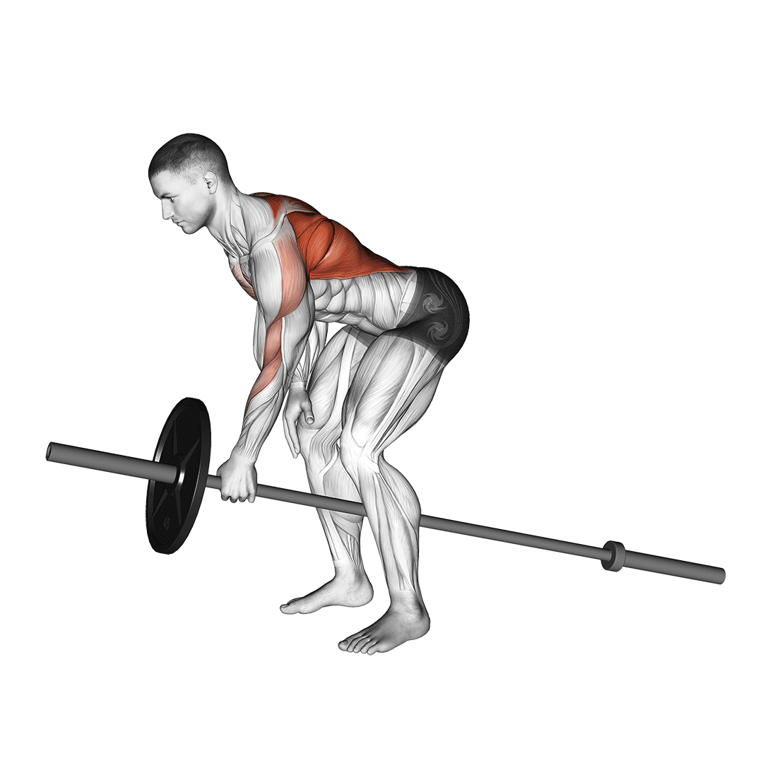 Machine One Arm Bent Over Row demonstration