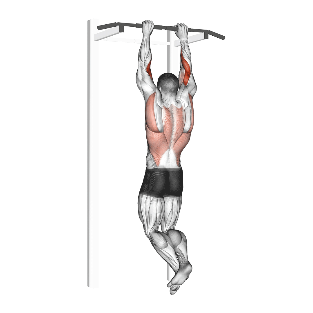 Cable Overhead Press demonstration
