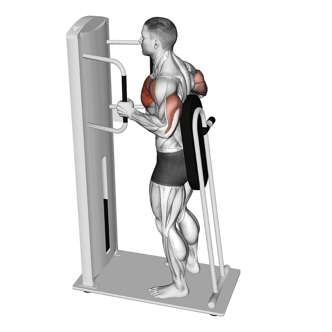 Machine Standing Chest Press demonstration