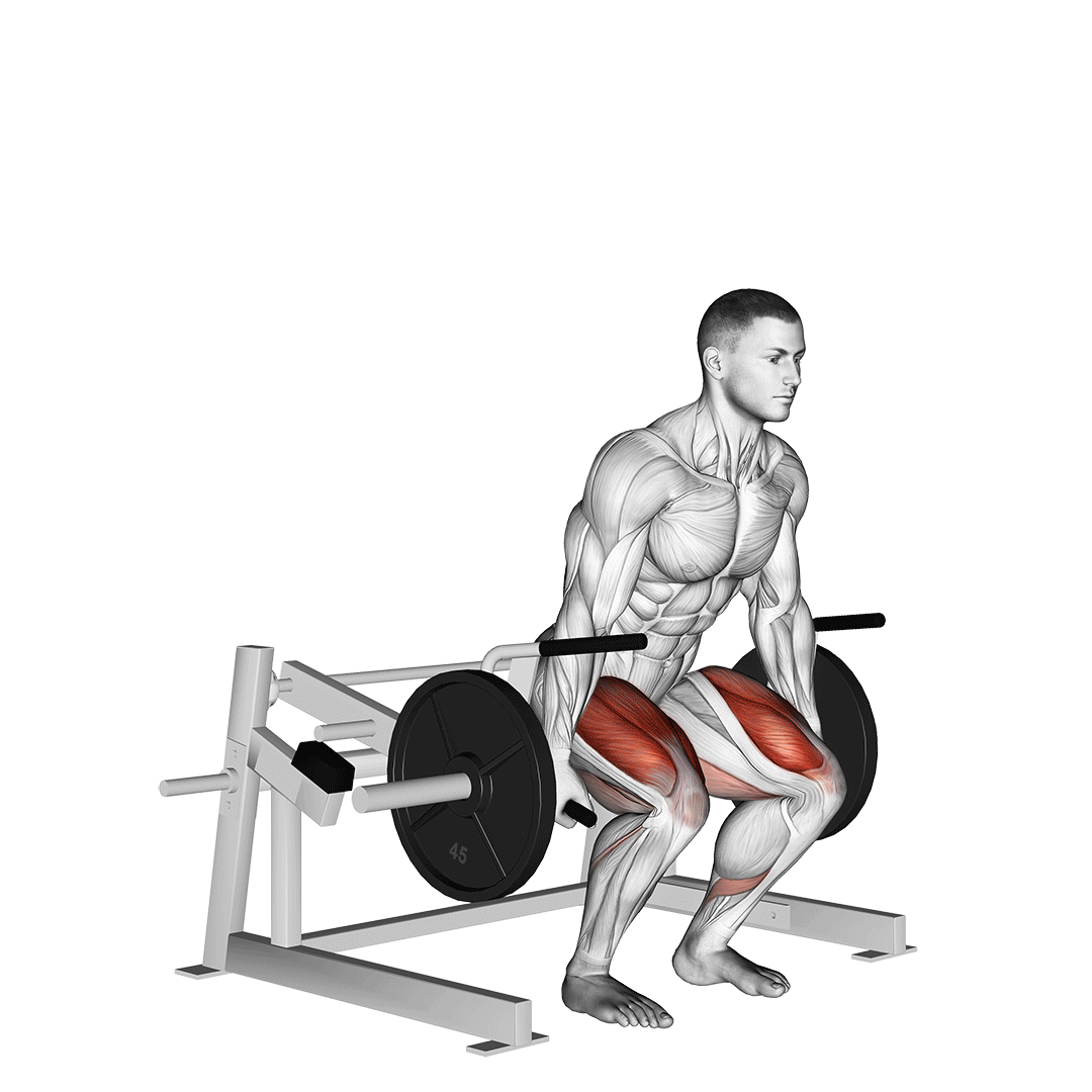 Machine Deadlift demonstration
