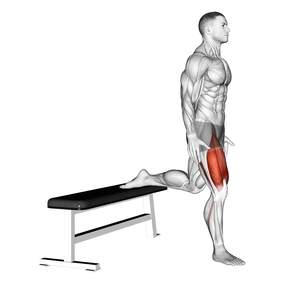 Quads (Bodyweight Squat) demonstration