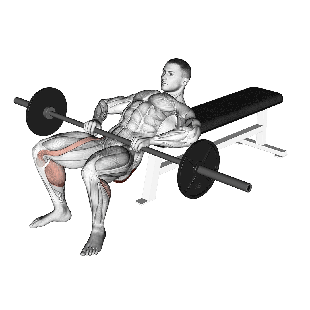 Barbell Lying Hip Lift demonstration