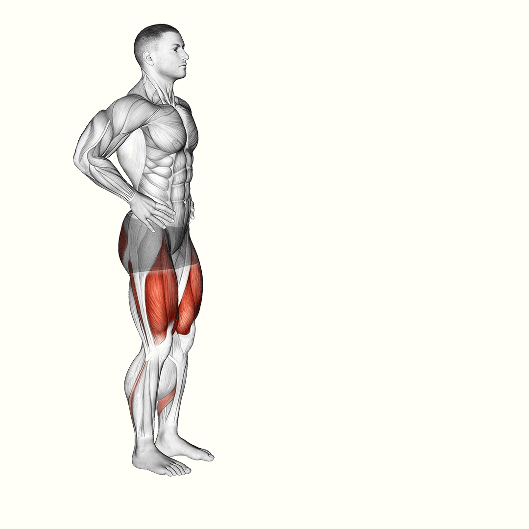 Forward Lunge demonstration