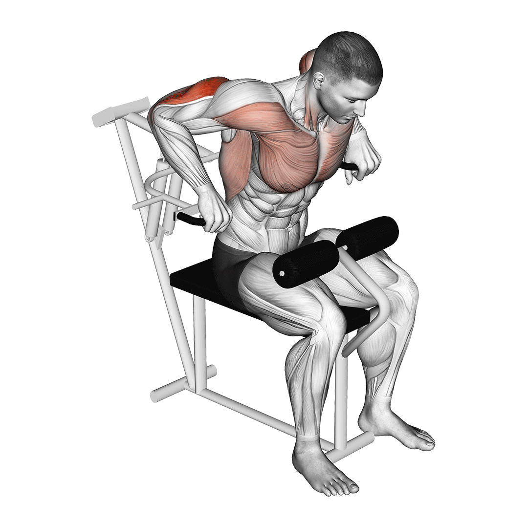 Machine Overhand Triceps Dip demonstration