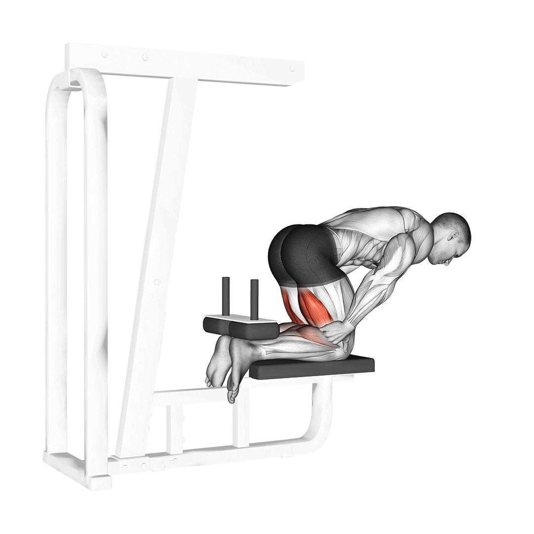 Inverse Leg Curl (Bench Support) demonstration