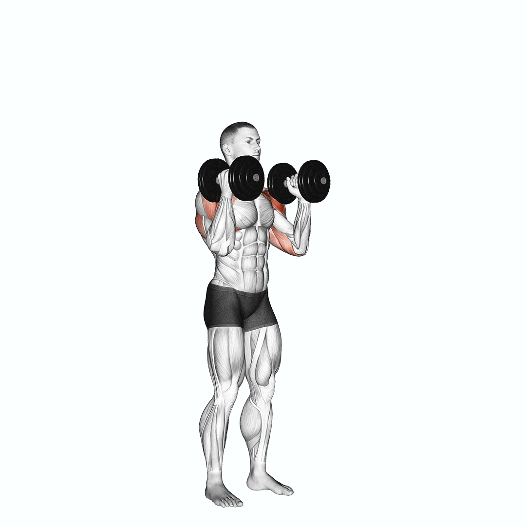 Dumbbell Standing Alternate Overhead Press demonstration