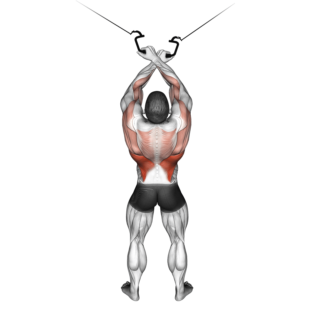 Cable Cross-Over Lateral Pulldown demonstration