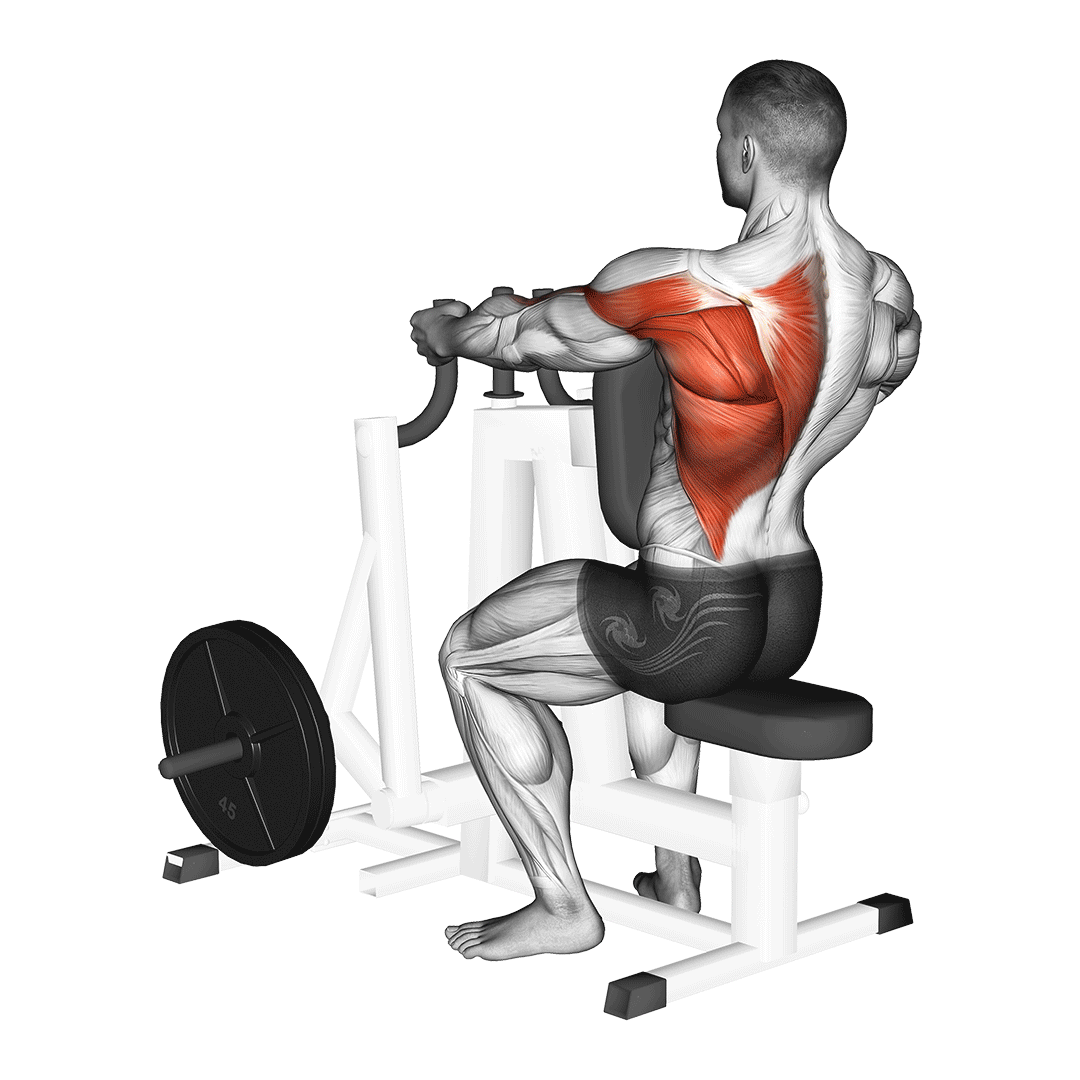 Machine Alternating Narrow Grip Seated Row demonstration