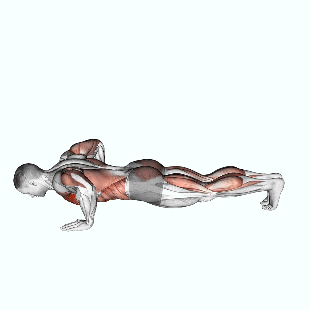 Modified Hindu Push-Up demonstration