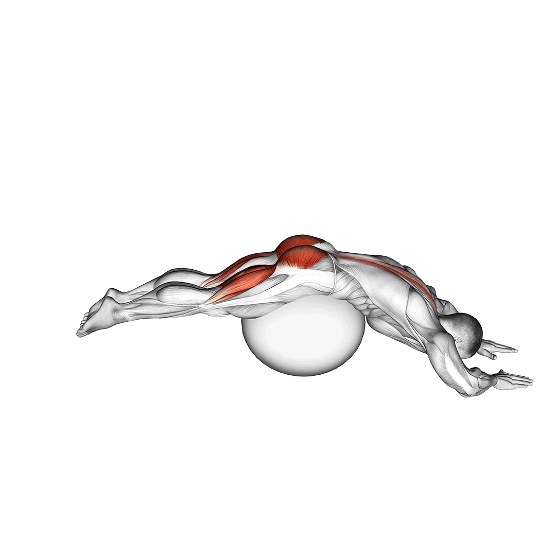 Reverse Hyper Extension (On Stability Ball) demonstration